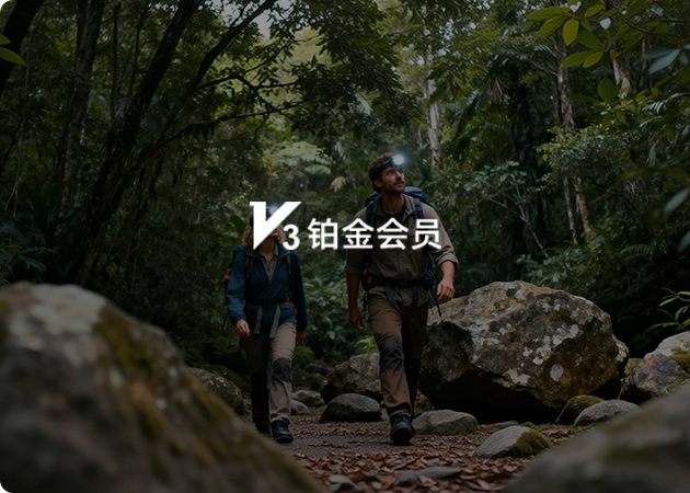 铂金会员